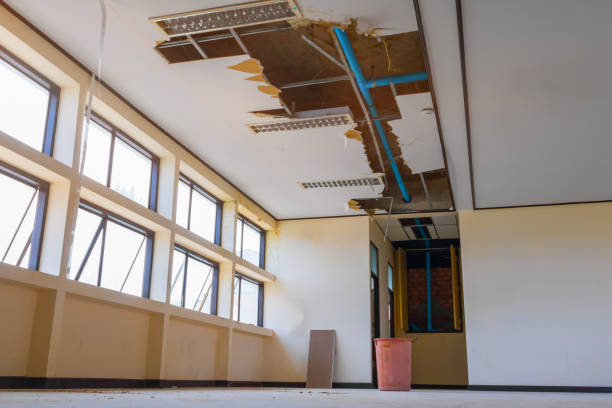 Best Basement water damage restoration  in Pullman, WA