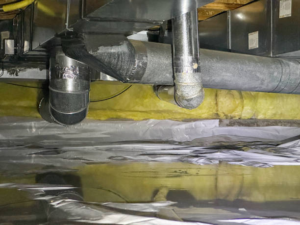 Best Ceiling water damage repair  in Pullman, WA